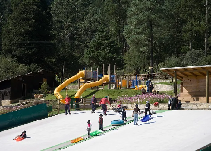 Bosques De Monterreal